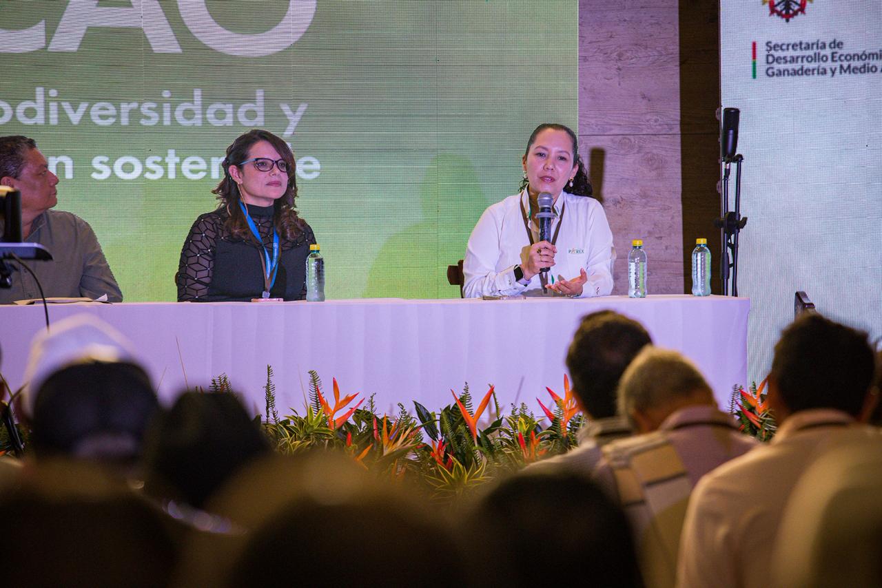 8° Seminario Internacional de Cacao — imagen 44